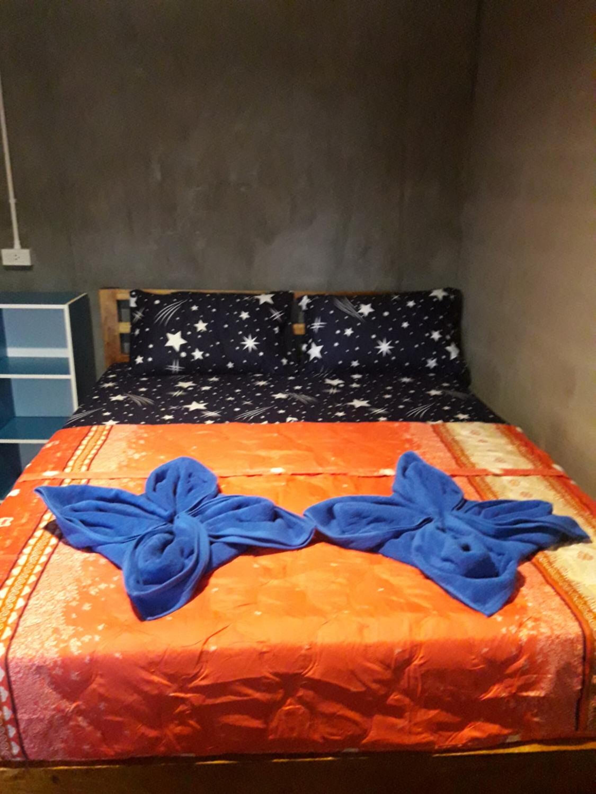 Photo - Cat Bungalow