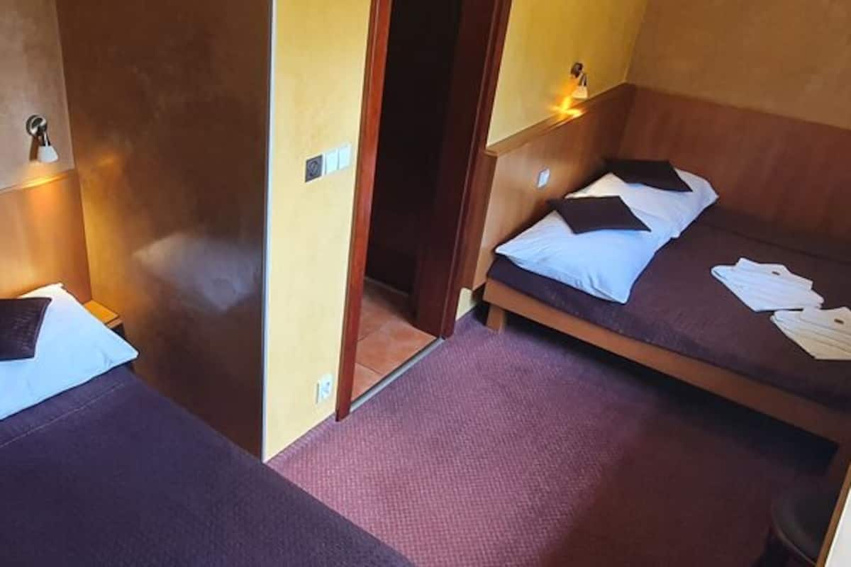Two single beds with wooden headboards, a small bedside table, and a wall-mounted lamp.
