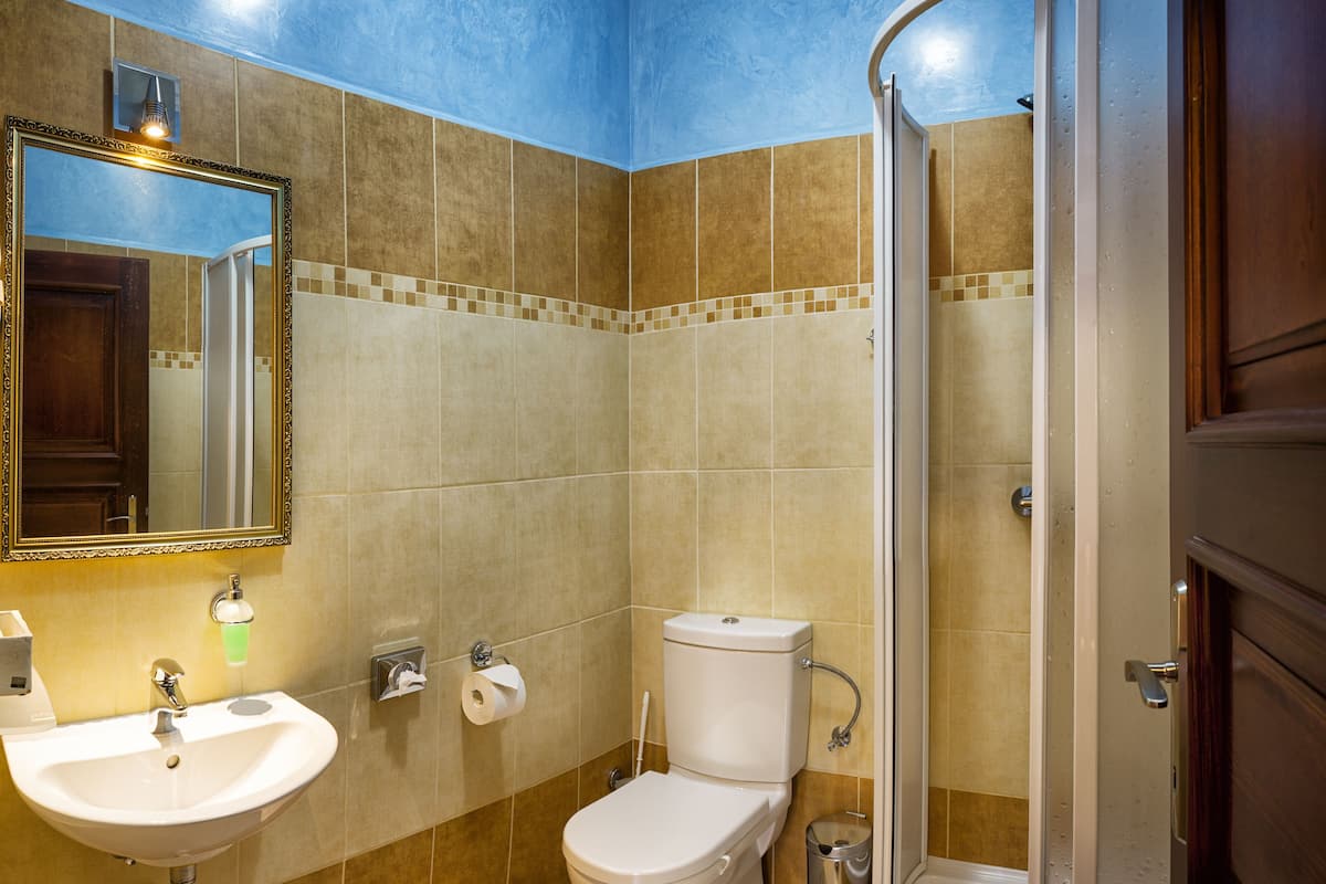superior single room, 1 single bed | bathroom | shower, free toiletries, hair dryer, towels
