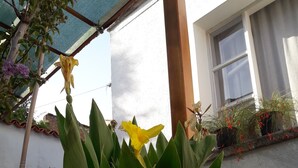 Jardín
