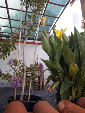 Jardín