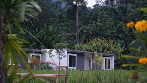 A modern building with a flat roof, surrounded by tall grass and trees. - Villa De View Chiang Dao (Chiang Dao)