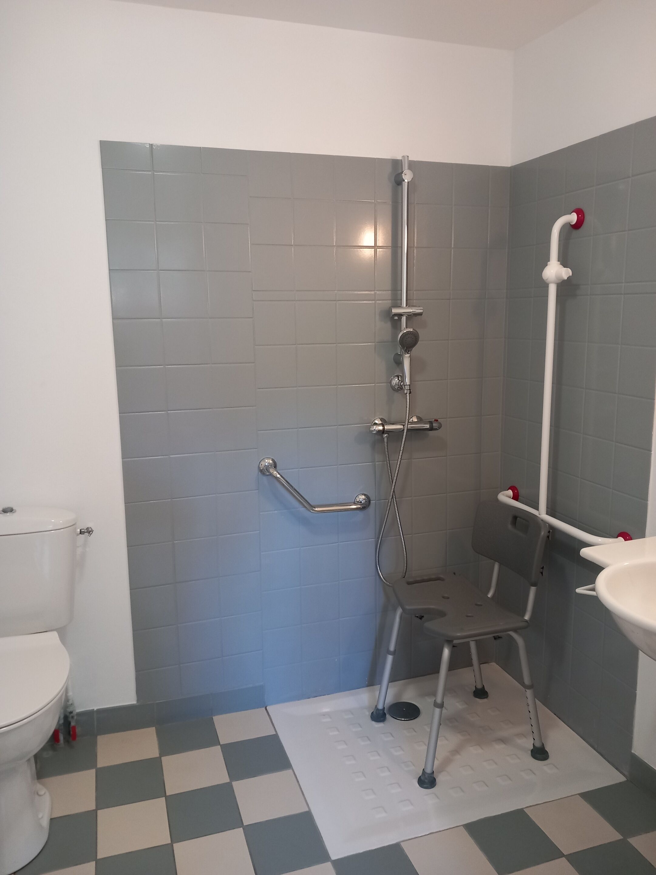 A bathroom with a shower, toilet, and a wheelchair-accessible bench.