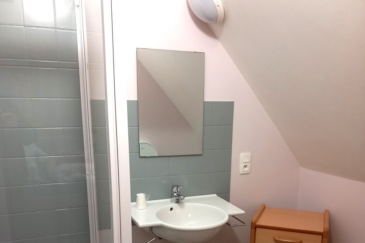 Un baño con ducha, lavabo, espejo e inodoro.