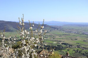 Apartment (1 Bedroom) | Fassade der Unterkunft