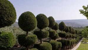 Photo non classée, 4 sur 38, bouton