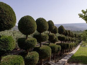 Garden - Sofia Mina Green Villa (East Mani)