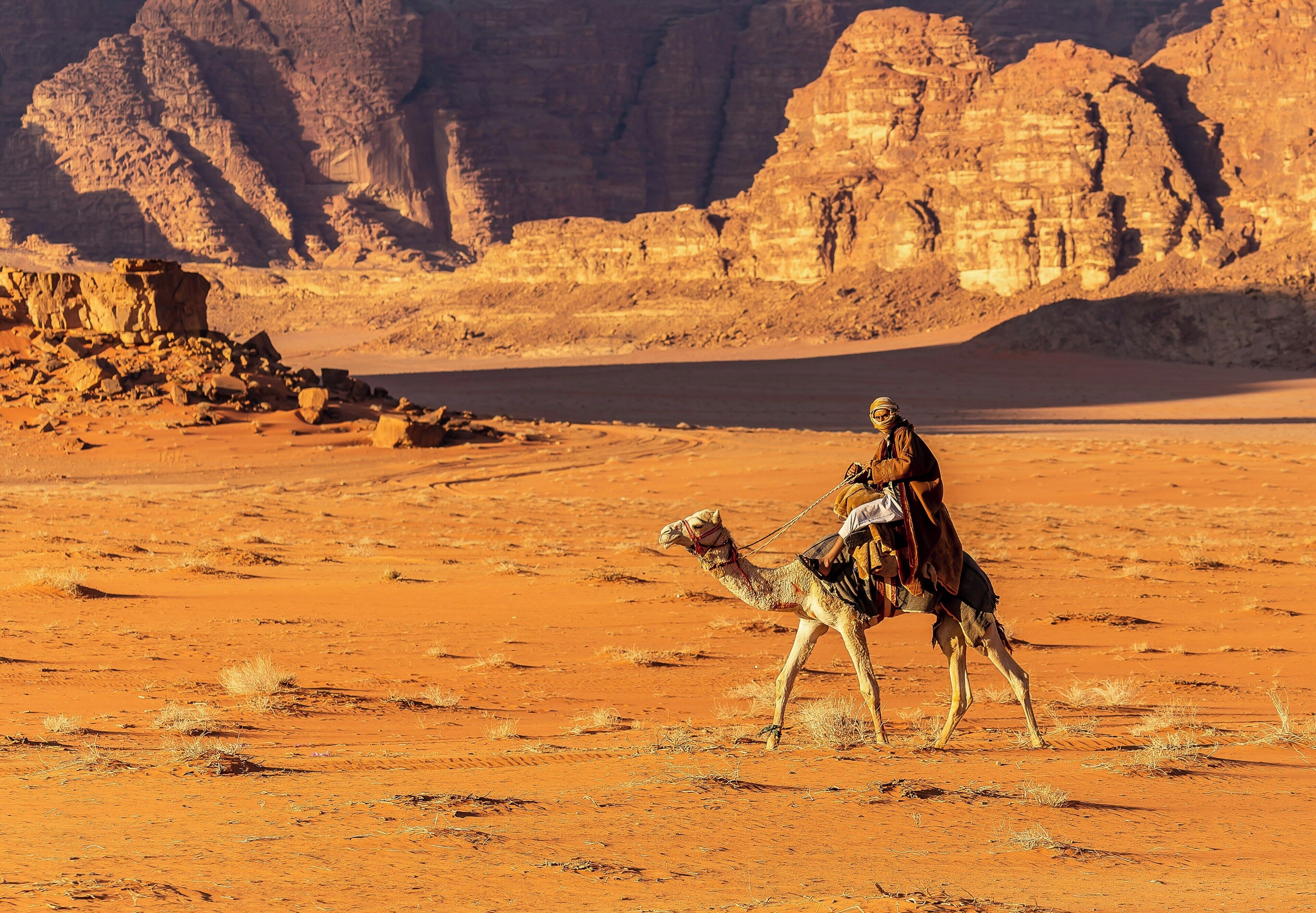 A desert landscape with a camel and rider.