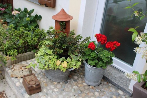 La Piccola Corte di Malpensa