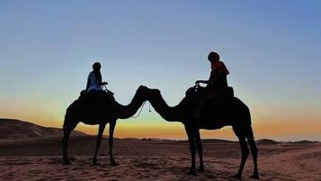 Two people riding camels in a desert landscape at sunset.