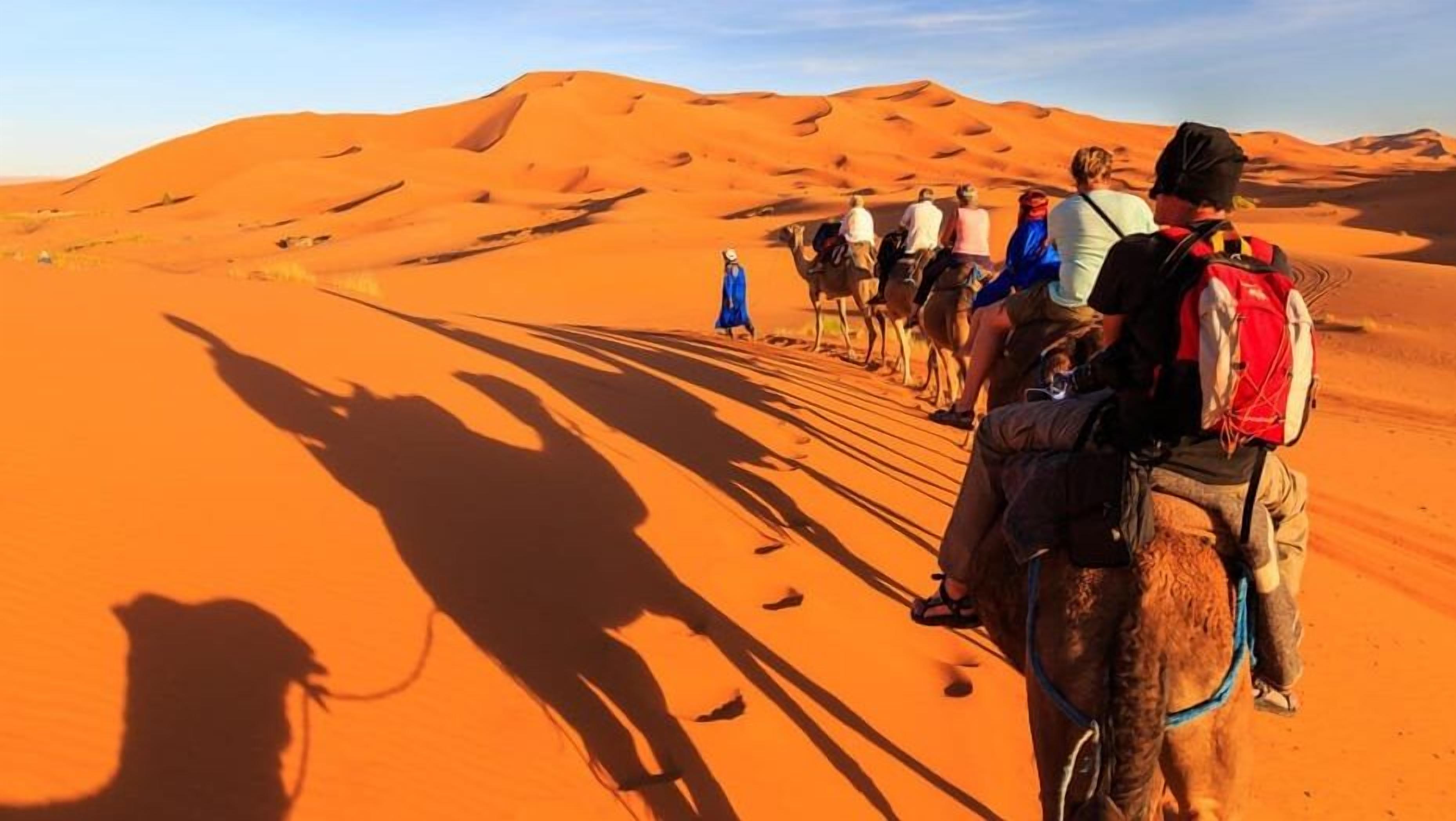 A group of people on camels in a desert landscape.