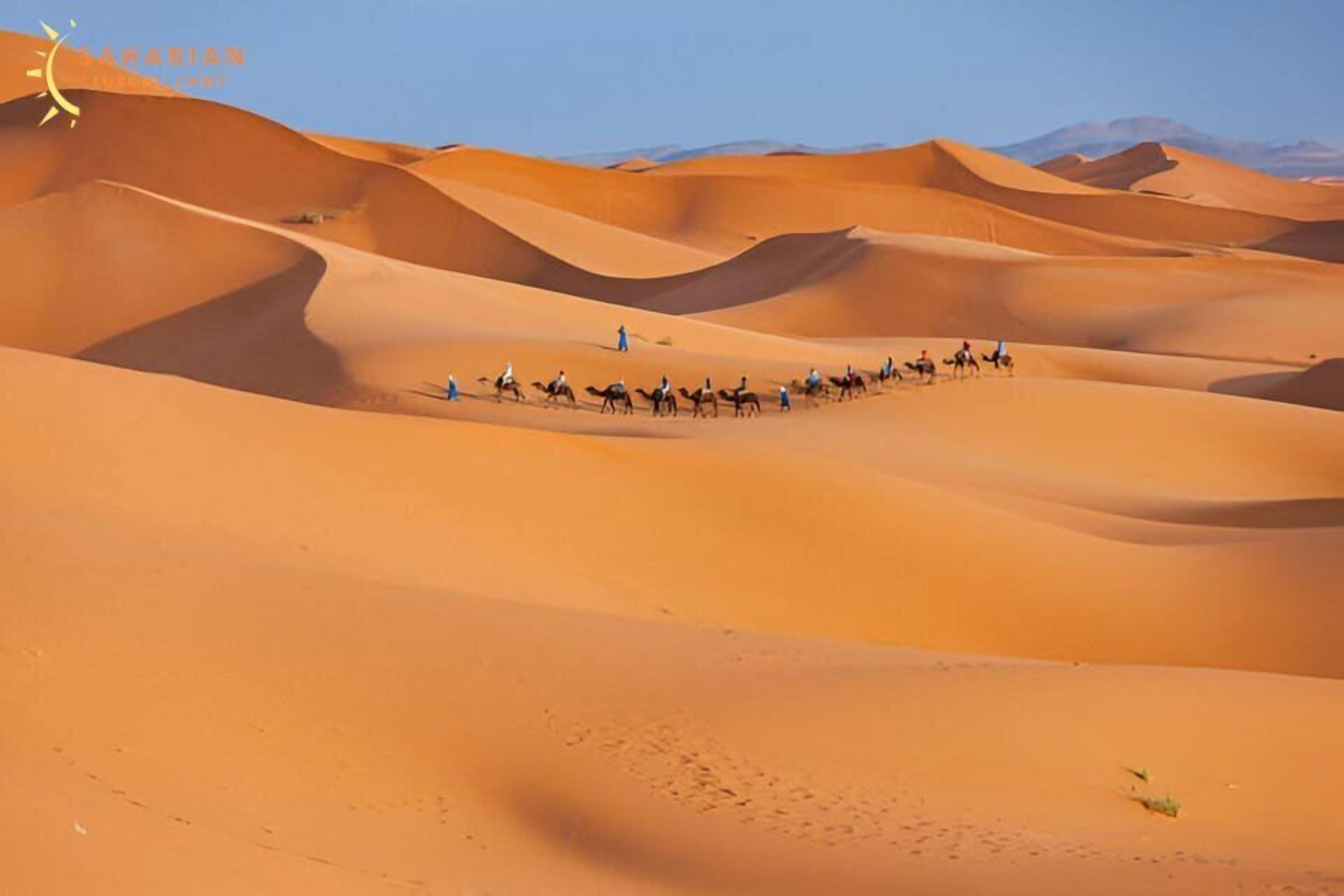 Un paysage désertique avec des dunes de sable et un groupe de personnes chevauchant des chameaux.