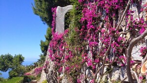 A pathway flanked by a stone wall with pink bougainvillea flowers, leading to a clear blue sky.