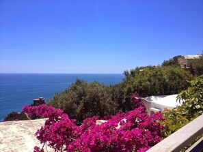 Exterior - Casa Roberta (Conca dei Marini)