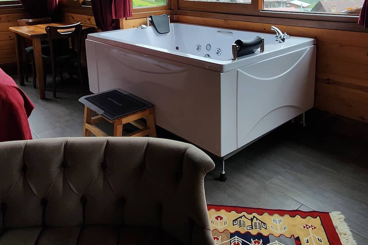 Panoramic Double Room