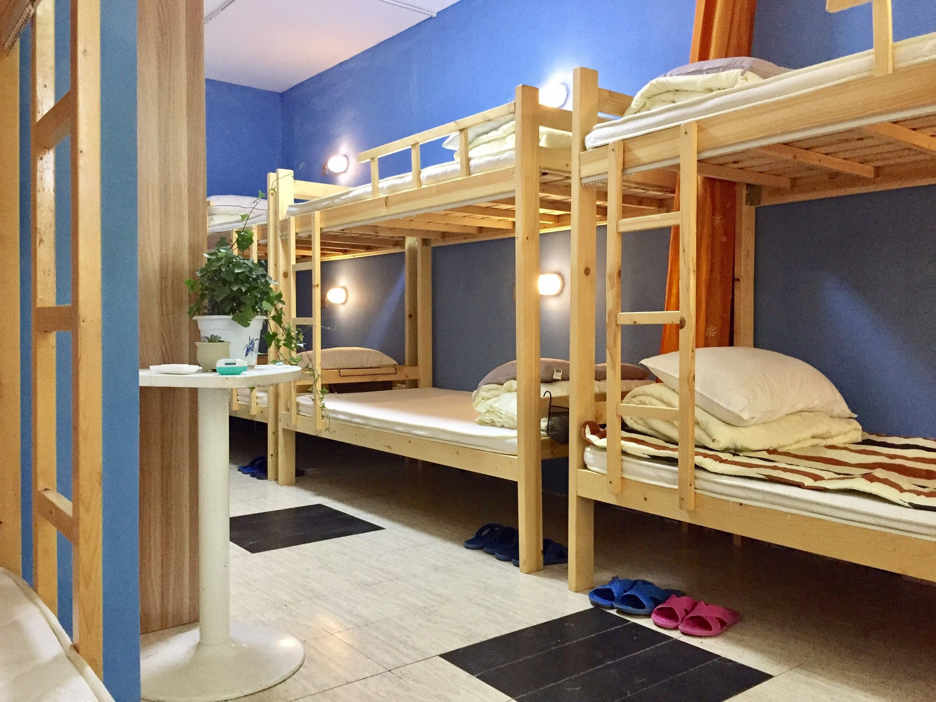 A bunk bed room with a small table and a potted plant.