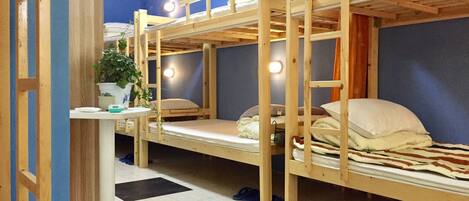 A bunk bed room with a small table and a potted plant.