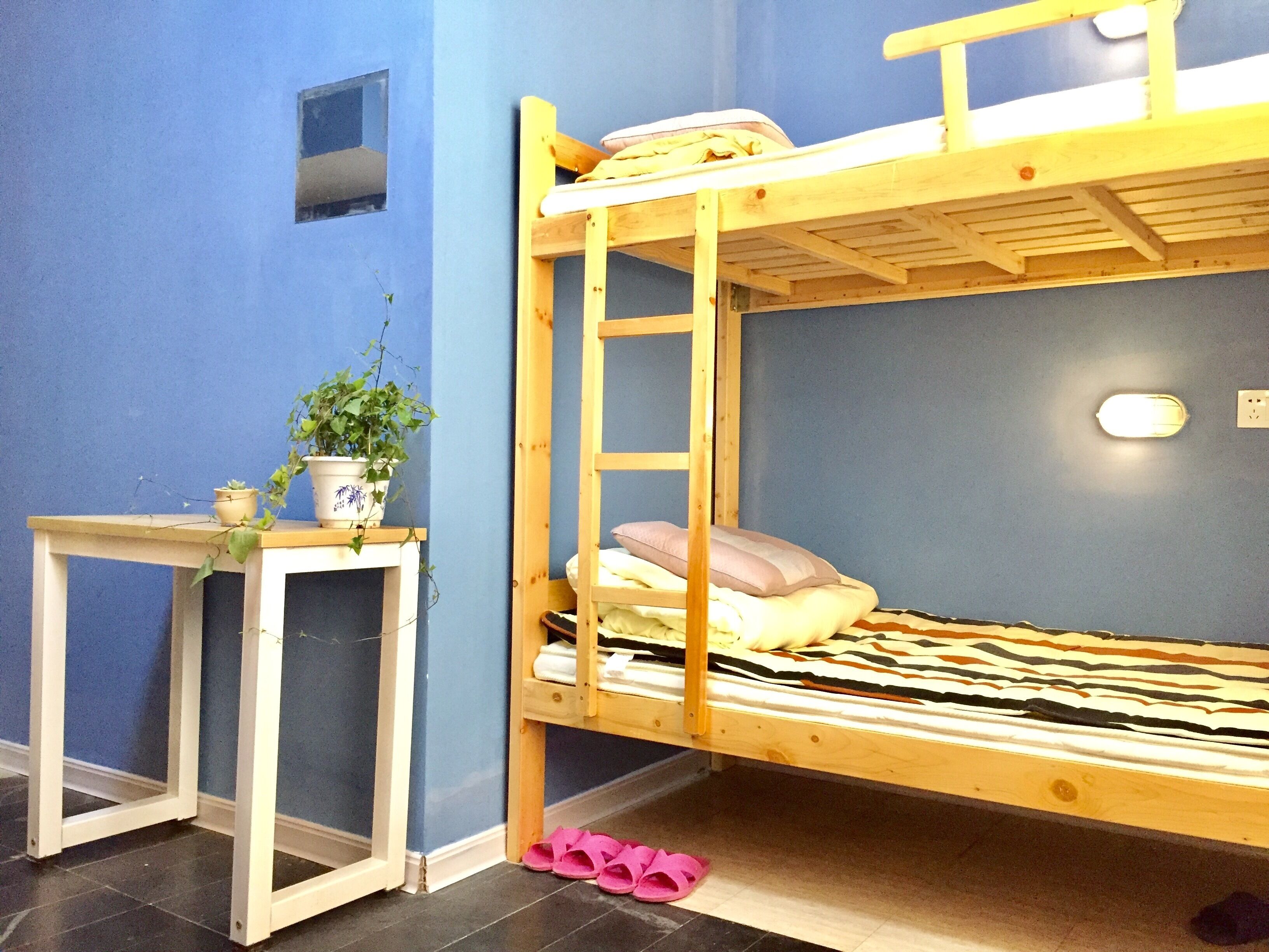 Habitación con literas, una pequeña mesa y una planta en maceta.