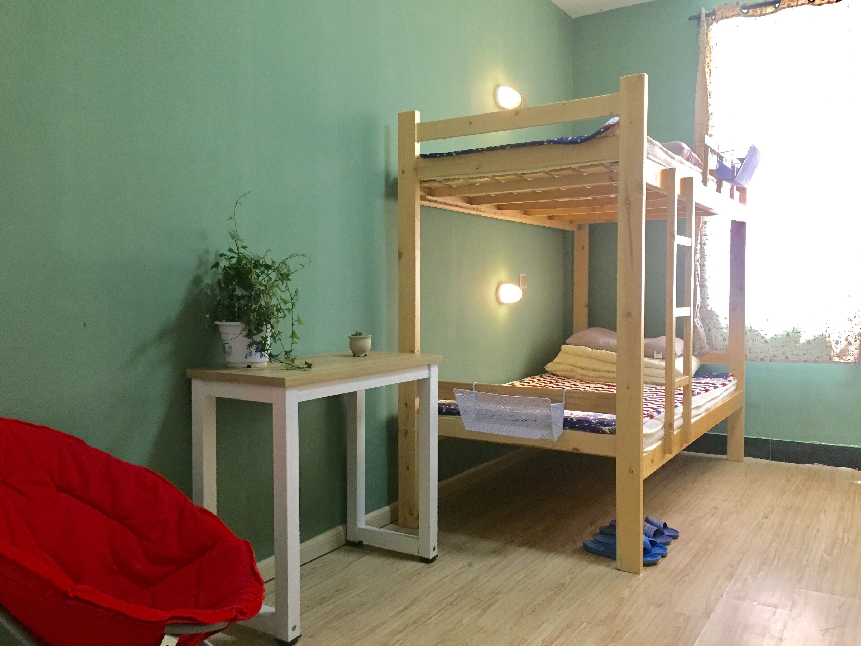 A bunk bed with a bedside table and a small potted plant.