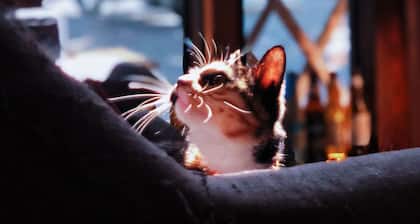 Weihai Hiking International Youth Hostel