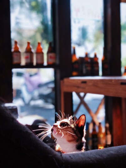 Weihai Hiking International Youth Hostel