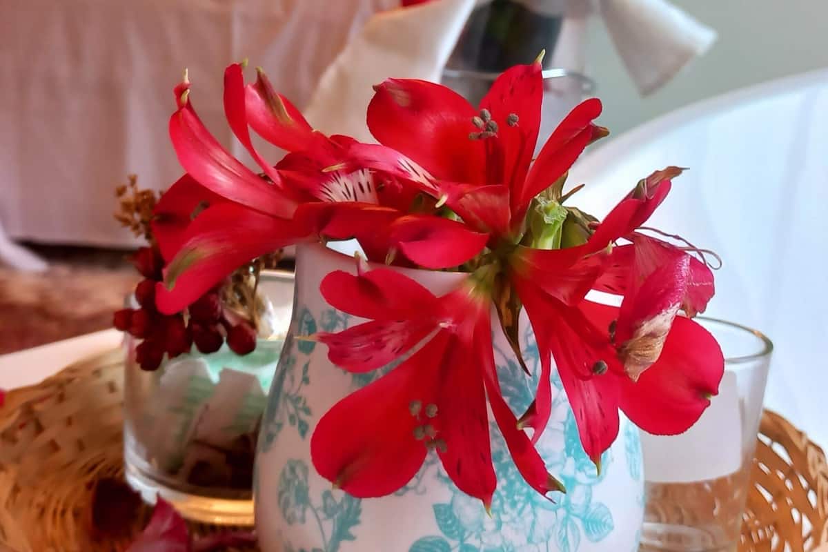 A room with a bed, a chandelier, and a vase with red flowers on a tray.