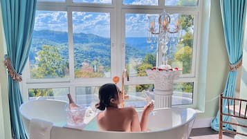 Habitación doble Premier, chimenea, vista a la montaña (Monaco) | Vista desde la habitación