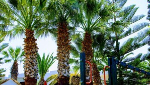 A playground with palm trees and a swing set. - Aspro Hotel (Hersonissos)