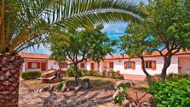 A courtyard with a stone wall, a palm tree, and a building with a tiled roof. - Agriturismo Sa Suerera (Olmedo)