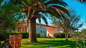 A house with a white exterior and a red roof, surrounded by a well-maintained lawn and palm trees. - Agriturismo Sa Suerera (Olmedo)