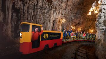 A small train with passengers in a cave-like environment.