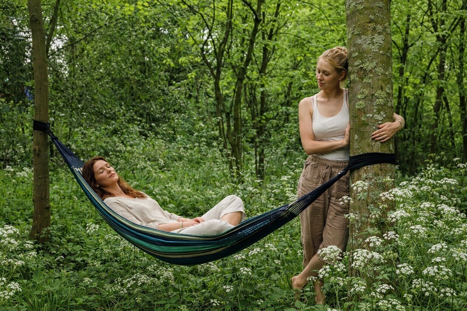 A hammock between two trees in a forested area.