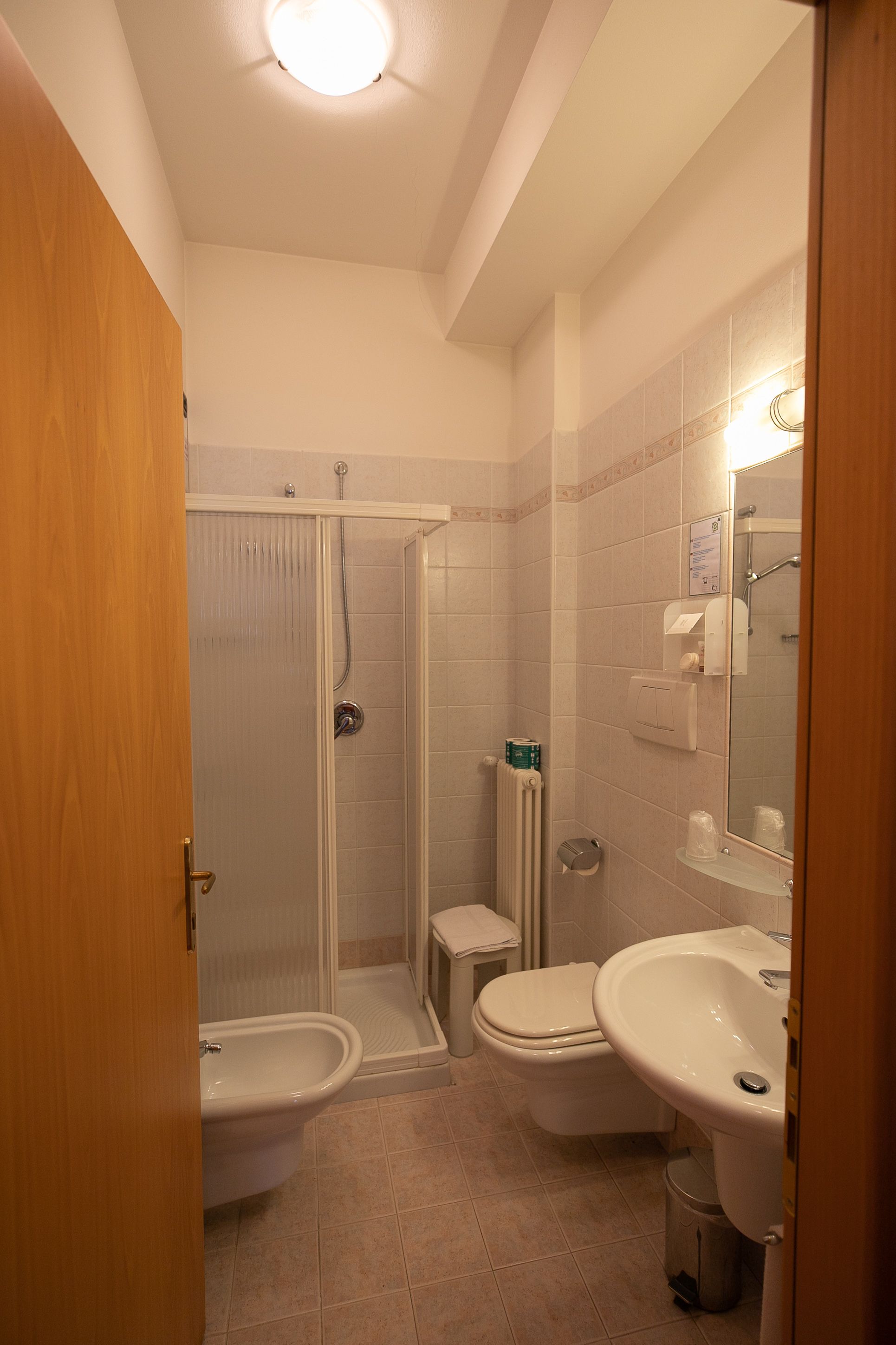 economy double room | bathroom | shower, free toiletries, hair dryer, towels