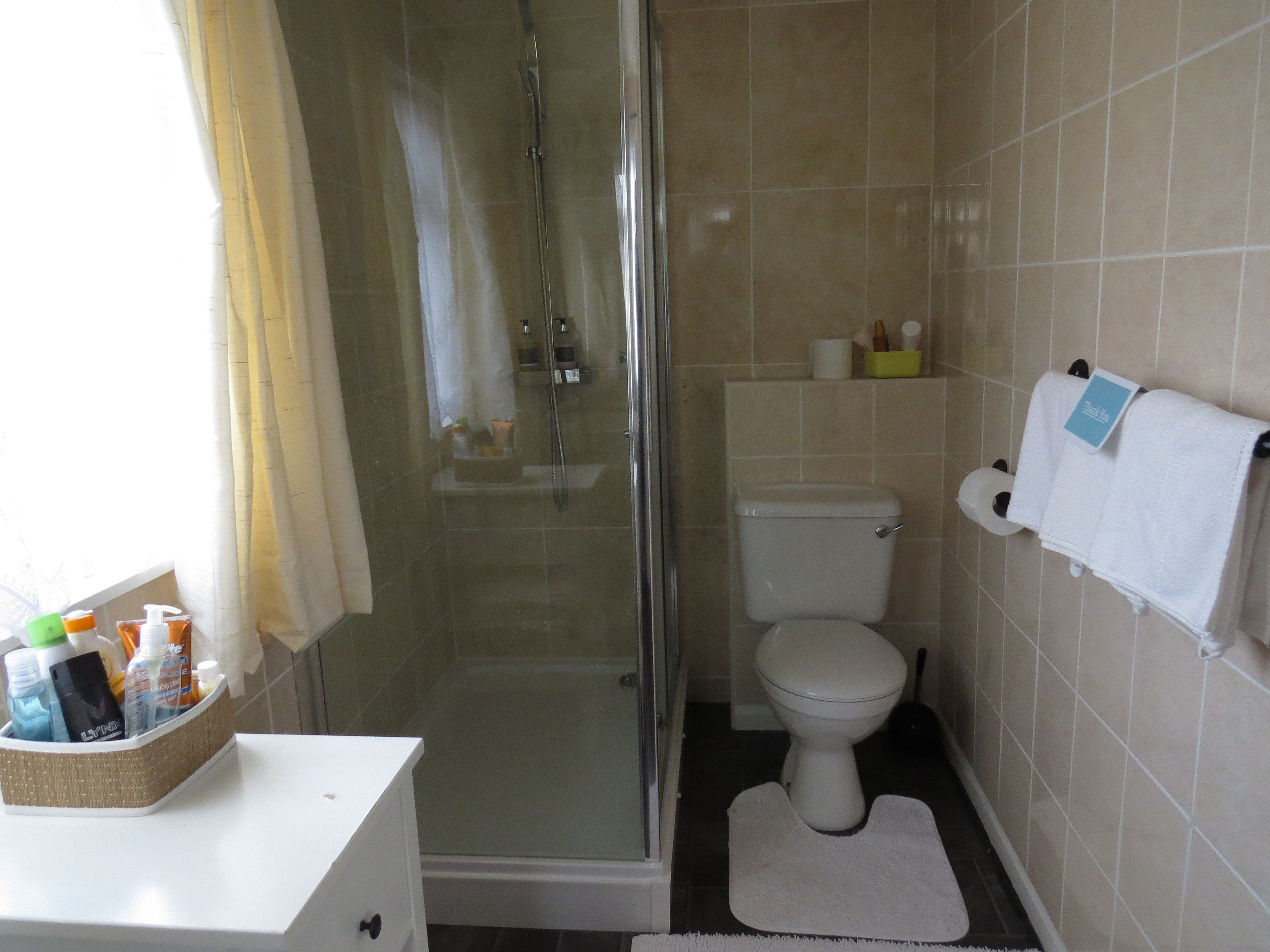 A bathroom with a glass-enclosed shower, a toilet, and a sink with toiletries.