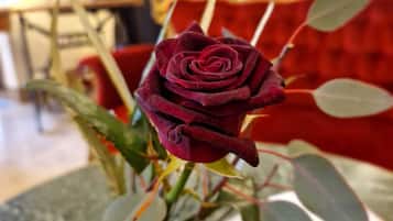Eine einzelne Rose in einer Vase.