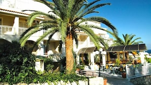 A coastal hotel with a palm tree, outdoor seating, and a view of the sea.