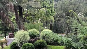 Un jardín cuidado con varios arbustos y helechos, un banco de piedra y una valla.