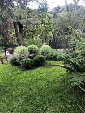 Jardim
