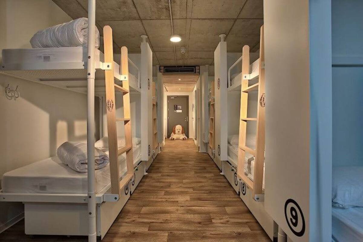 A corridor with bunk beds, each marked with a number, leading to a central area with a dog.