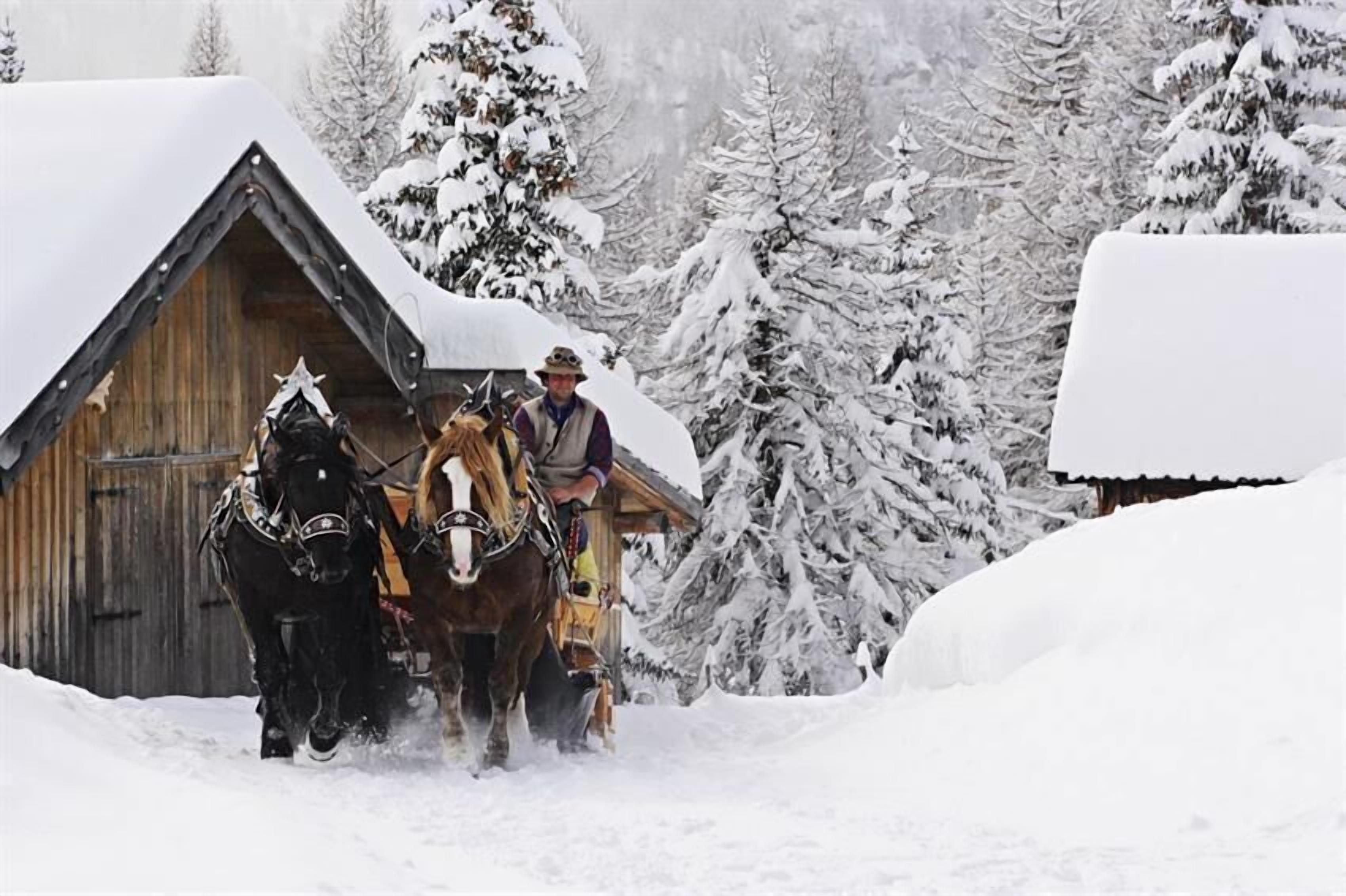 Una cabaña de madera con árboles cubiertos de nieve al fondo.