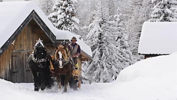Una cabaña de madera con árboles cubiertos de nieve al fondo.