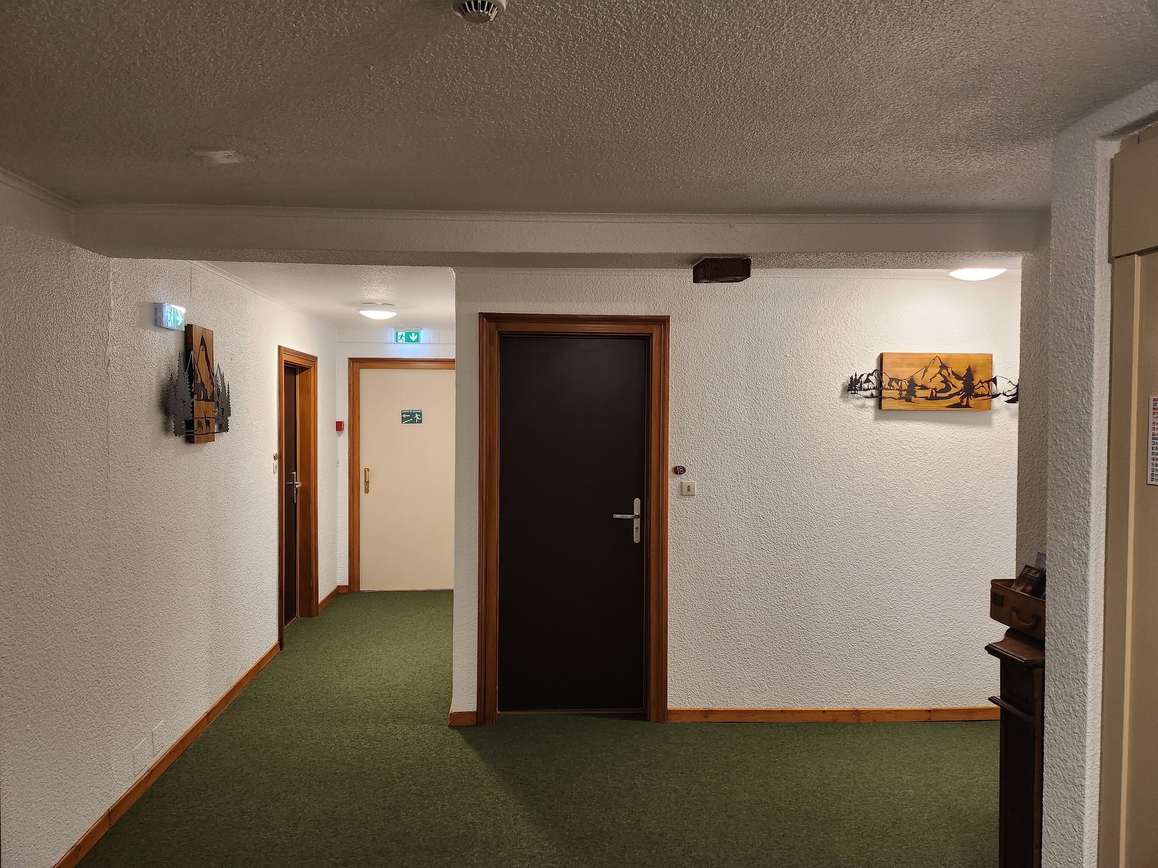 A hallway with green carpet, wooden doors, and a small exit sign.