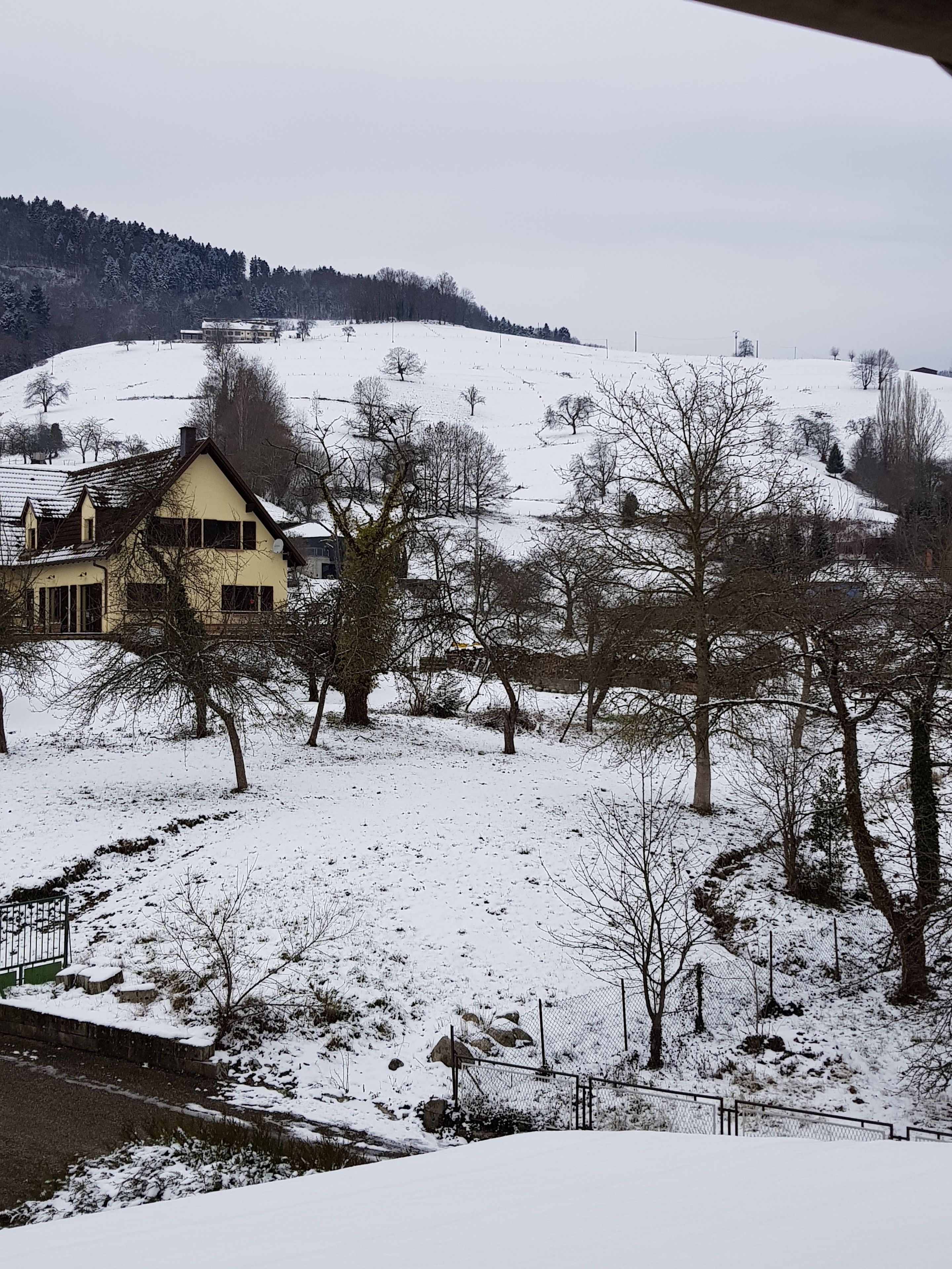 إطلالة الغرفة