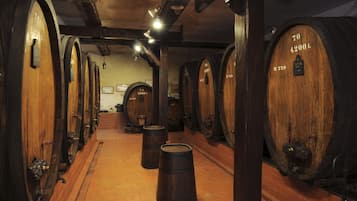 Azienda vinicola