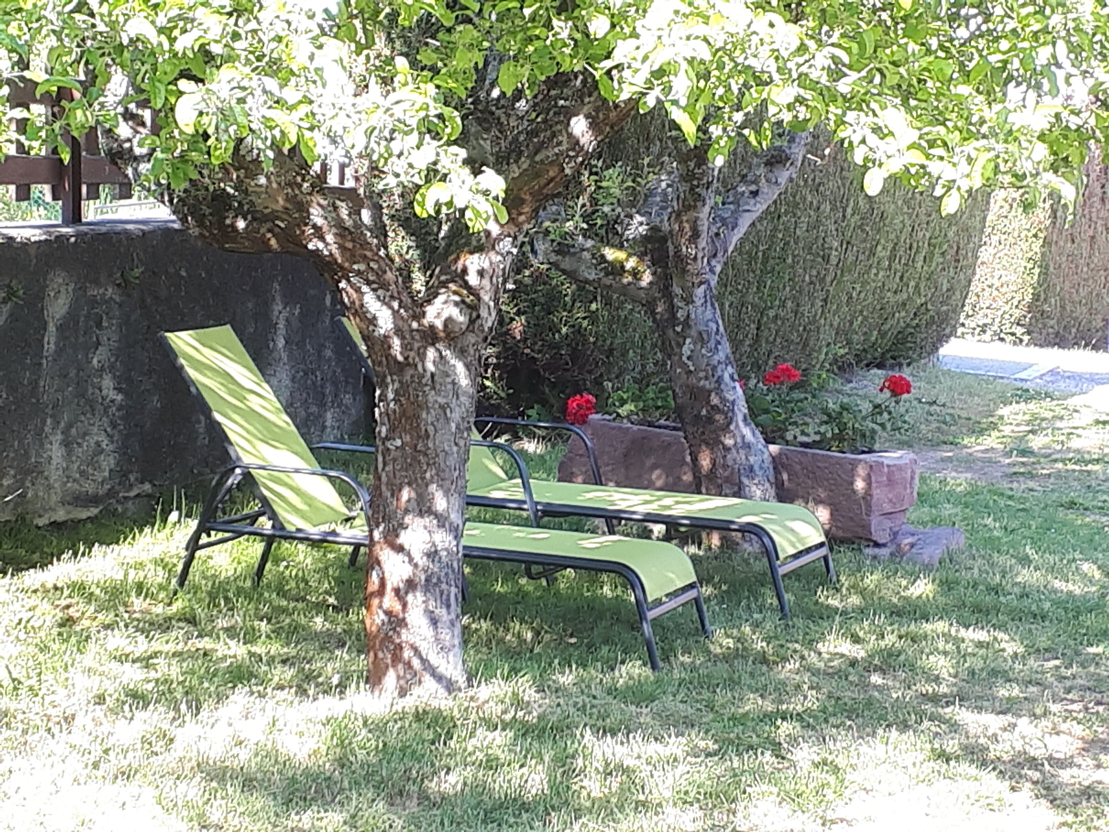 double room | view from room