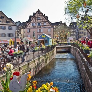 เดินป่า