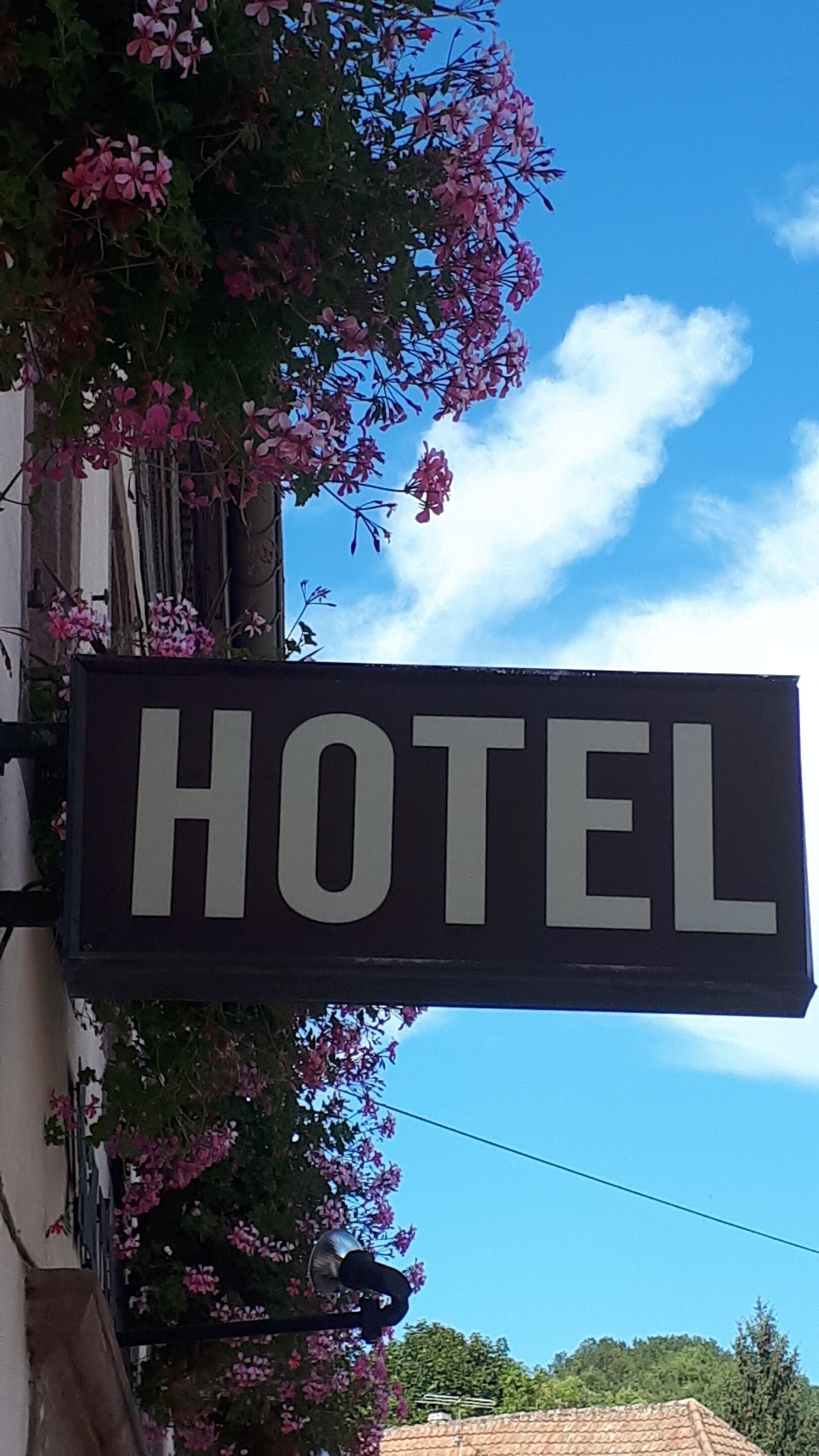 A sign with the word "HOTEL" mounted on a building.