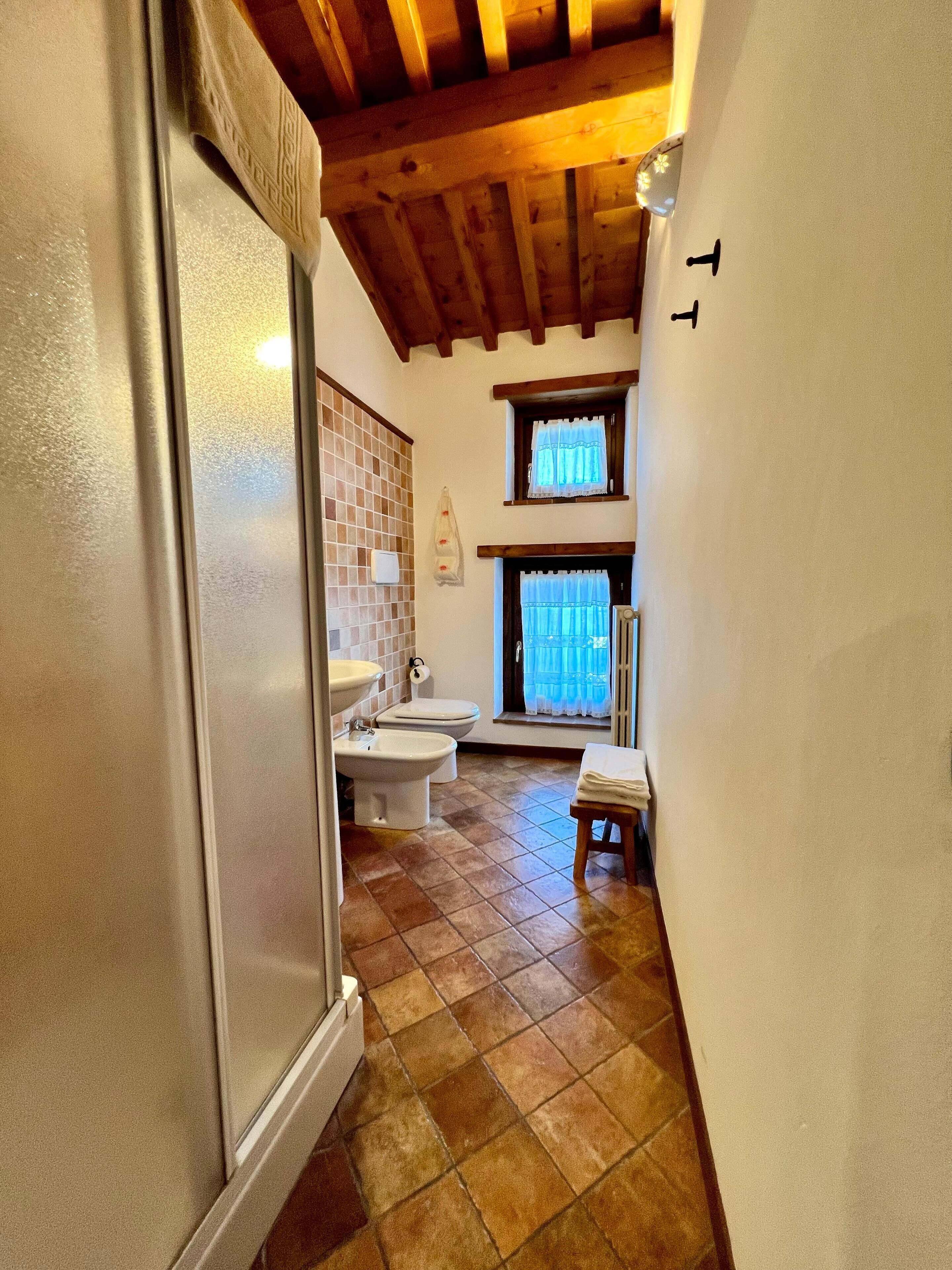 A bathroom with a shower, toilet, bidet, and a small window with curtains.