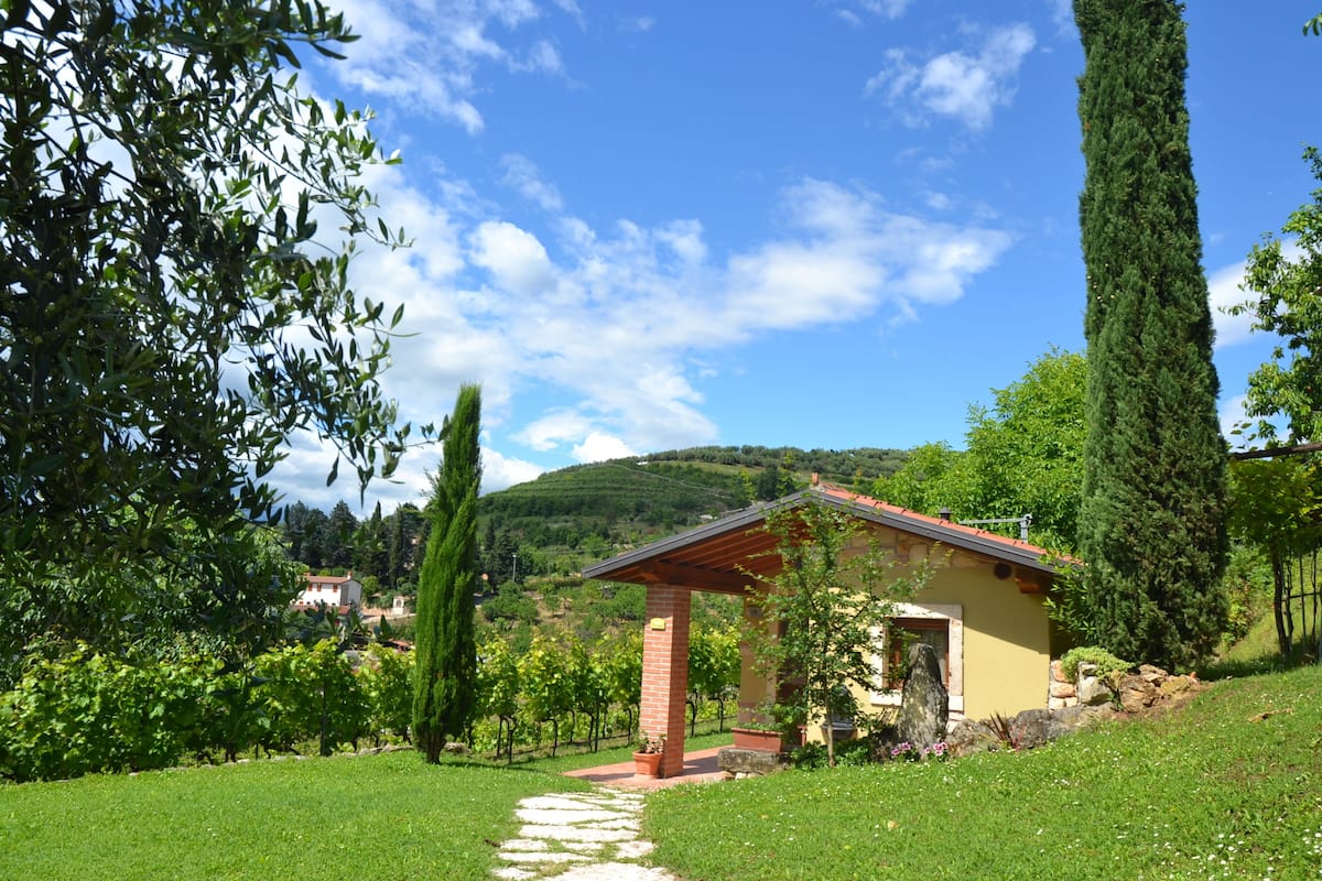 A rural house with a garden path leading to a small building with a red roof.