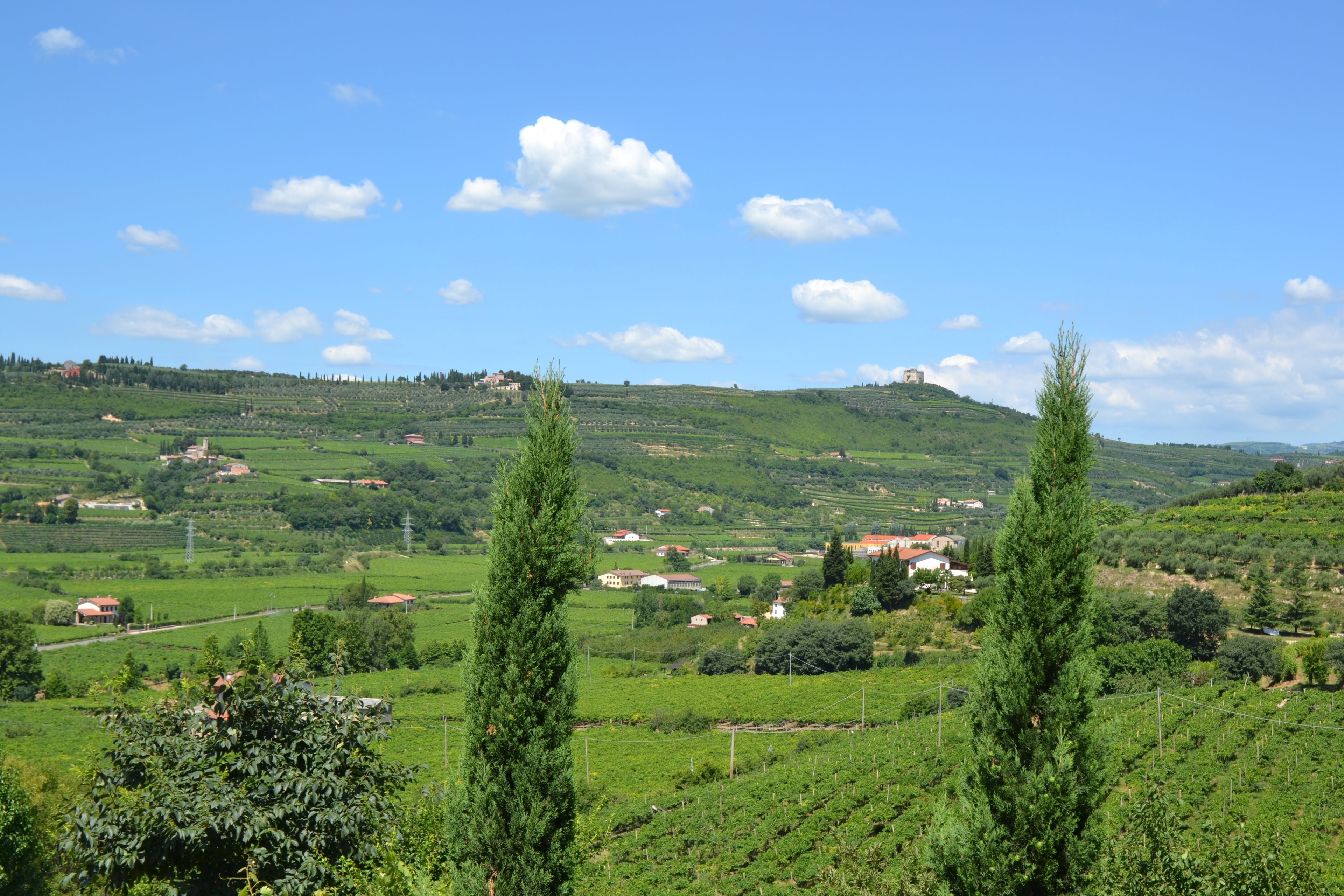 Photo - Corte Tamellini